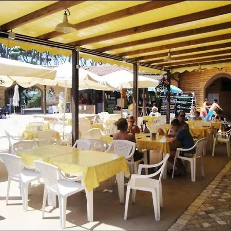 Mobilheim Am Meer In Der Toskana In Der Naehe Von Pisa, Lucca 아파트 비아레지오